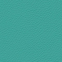 Kolekcja uzupełniająca Gemini