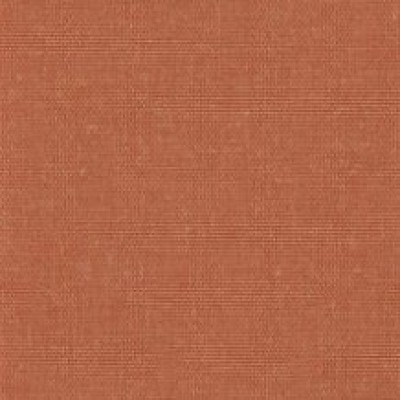 Kolekcja Paratexa NF (wz)