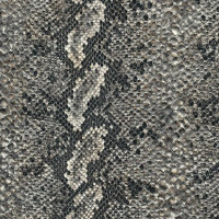 Kolekcja Aythana N (wz)