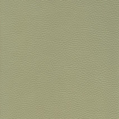 Parotega NF staynu 641-2071