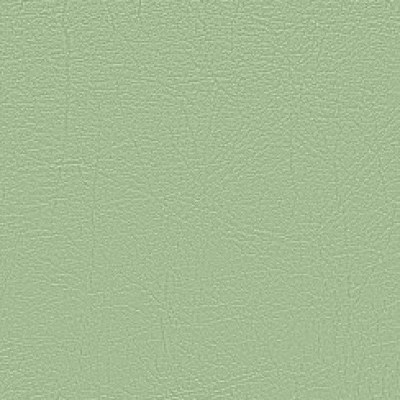 light-green (wz) 