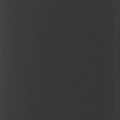 Tannengruen SFTN matt 436-6021 CC
