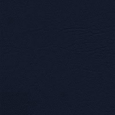 navy (wz) 