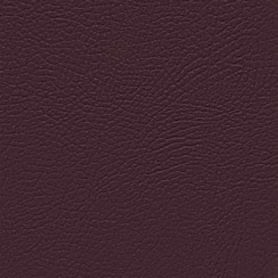 purple (wz) 