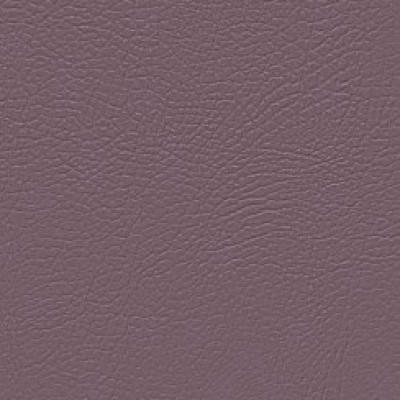 violet (wz) 