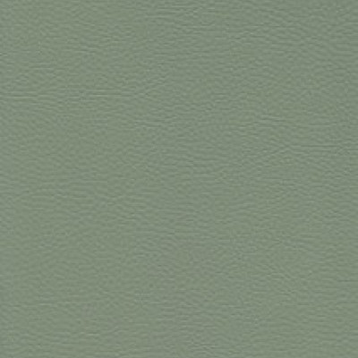 Parotega NF staynu 641-2056