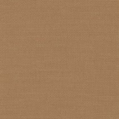 Paratexa NF 641-1245