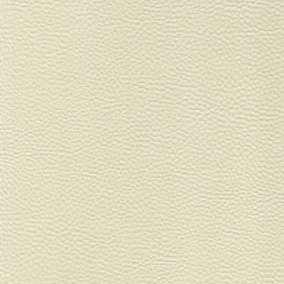 Parotega NF staynu 641-2031