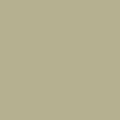 tp colour	seidengrau	TPRF 436-5031 CC
