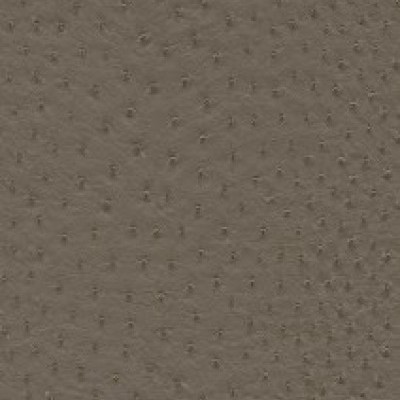 Aliena 632-1318 (wz)