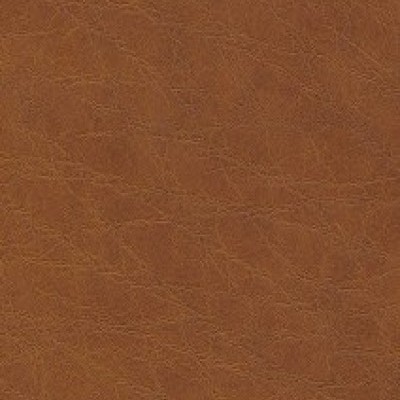 Plata 641-0779 (wz)
