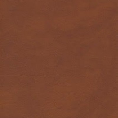Palma NF 641-1145