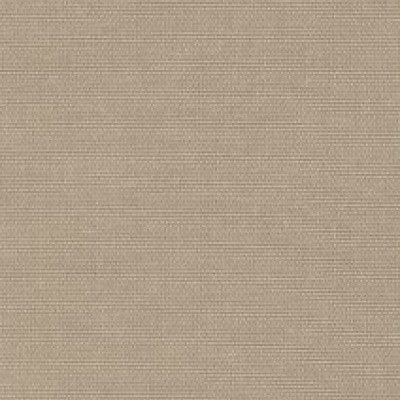 Paratexa NF 641-1209