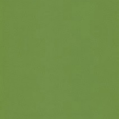 Pandoria Plus 641-3077