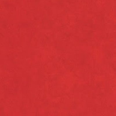 Palena 646-1593 (wz)