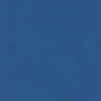 Palena 646-1597 (wz)