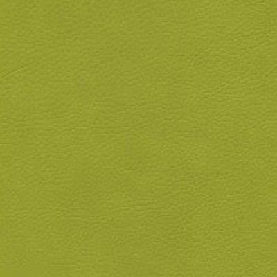 Parotega NF 646-1657