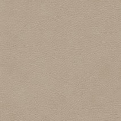 Parotega NF 646-1661