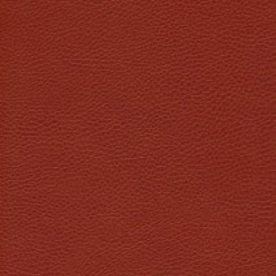 Parotega NF 646-1702