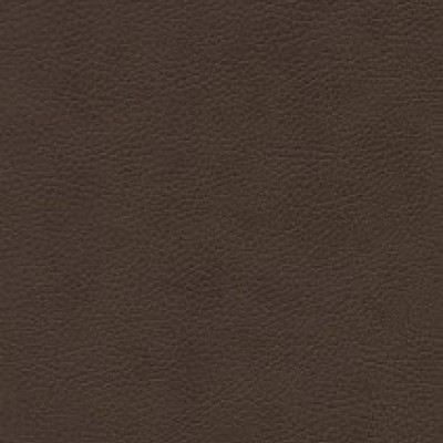 Parotega NF 646-1704
