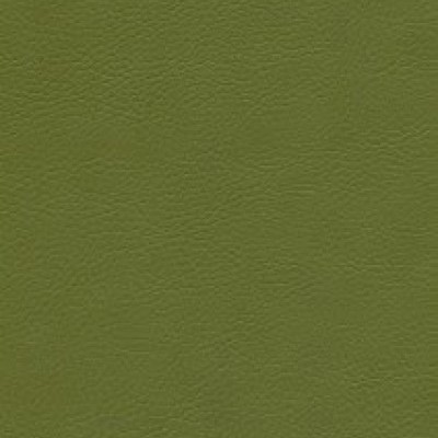 Parotega NF 646-1705