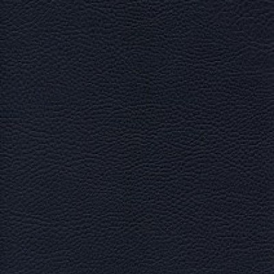 Parotega NF 646-1729