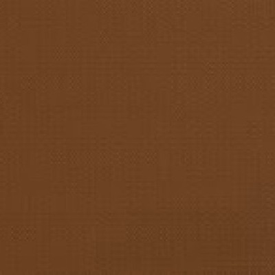 lightbrown (wz) 