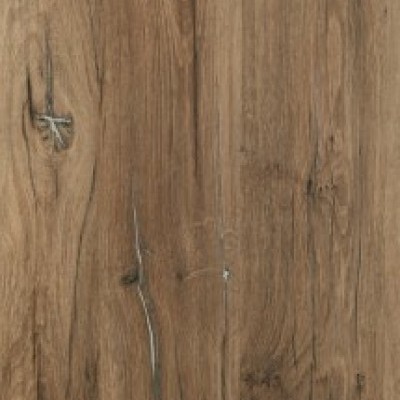 Flagstaff Oak umbra 424-2561