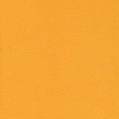 Parotega NF staynu 641-2066