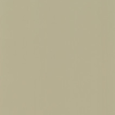 Colore Classico
sage green	ULTRA EXT
 429-0173
