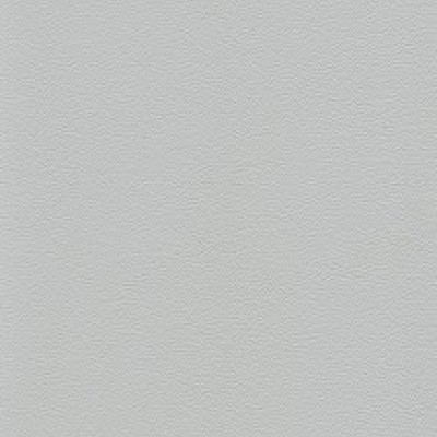 Ashgrey 