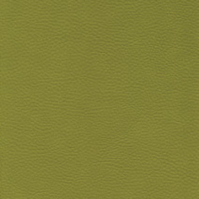 Parotega NF staynu 641-2050