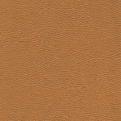 Parotega NF staynu 641-2073