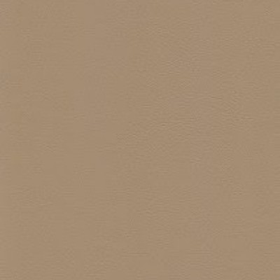 Birch (wz) F7901003