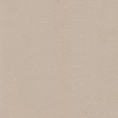 Ashgrey F7901011